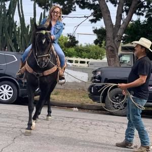 Meet your Posher, Laura